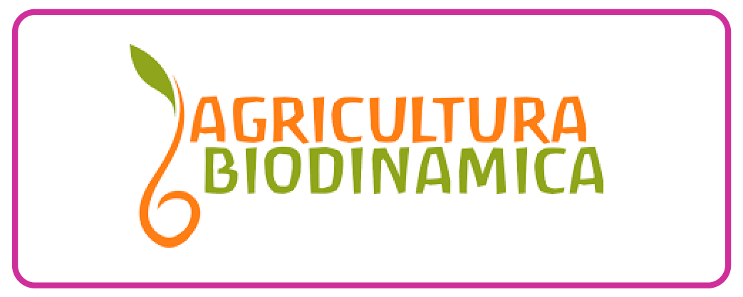 Logos de la Tienda_Mesa de trabajo 1 copia 12