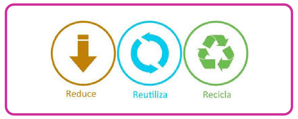 Logos de la Tienda_Mesa de trabajo 1 copia 5